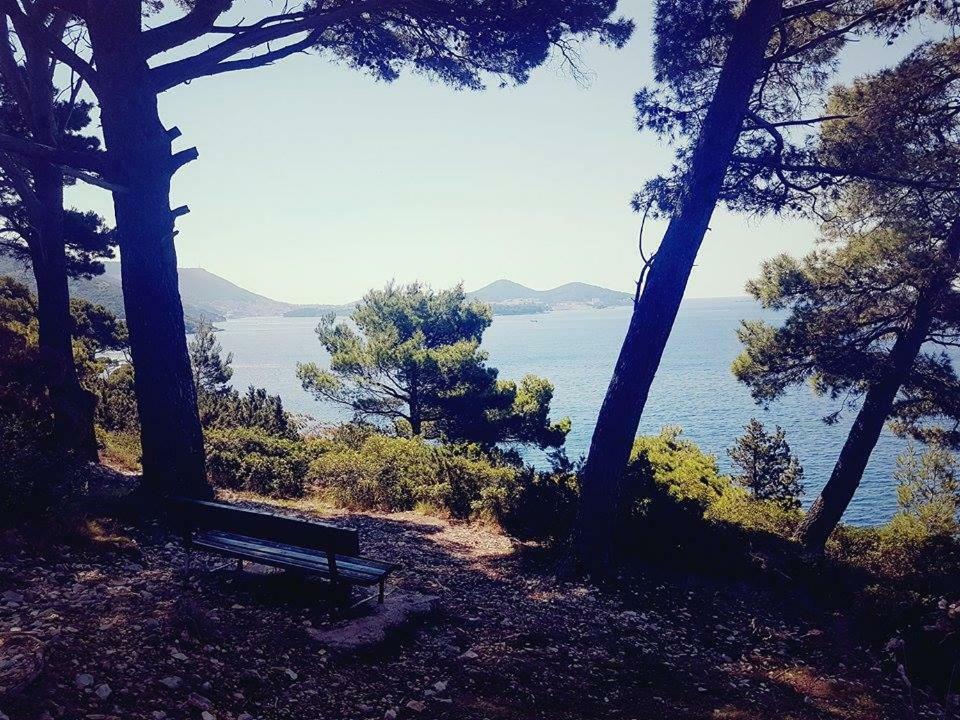 Apartment Hanas Dream Places Zaton (Dubrovnik-Neretva)